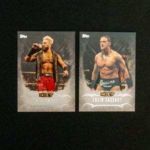 2016 TOPPS WWE NXT CARDS LOT ENZO AMORE COLIN CASSIDY BIG CASS BIG BILL AEW